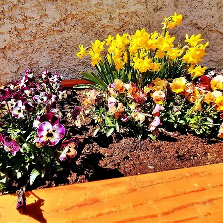 Near Katschberg Area, Cleaning Included Tatil Evi
